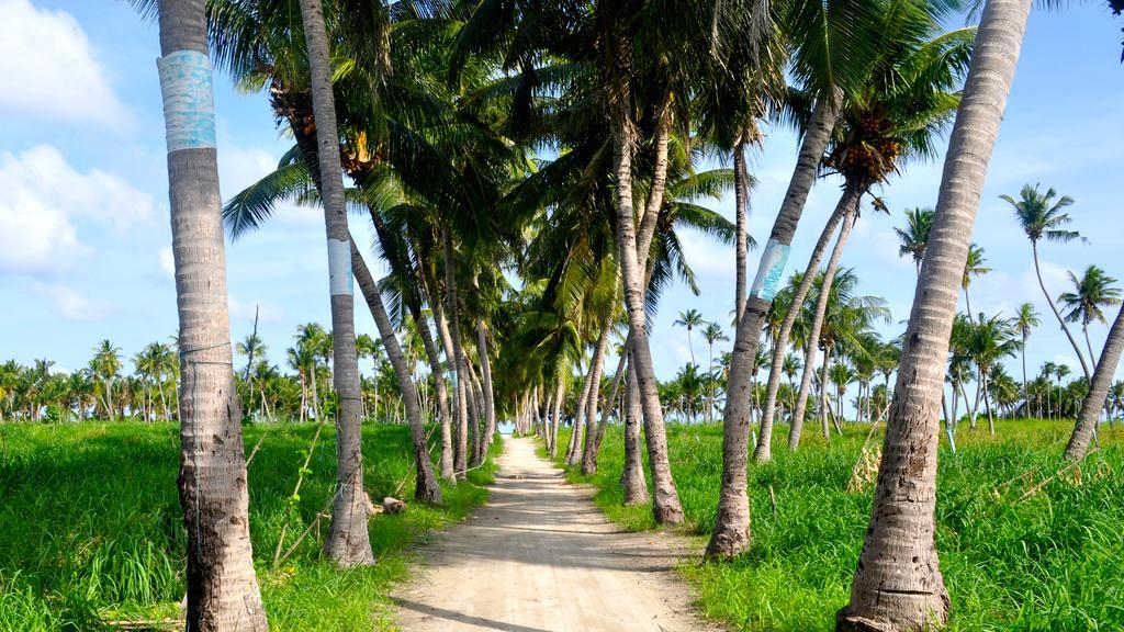 Holiday Cottage Thoddoo, Maldives Exterior foto