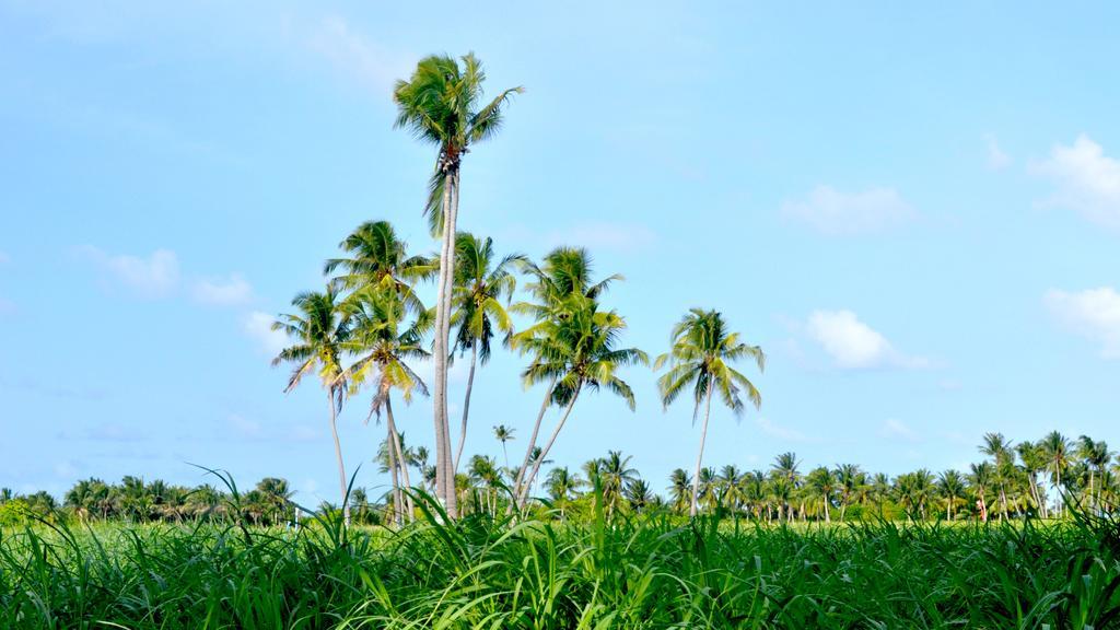 Holiday Cottage Thoddoo, Maldives Exterior foto